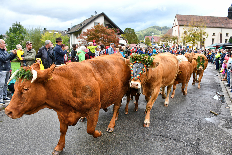 Alemannische Woche