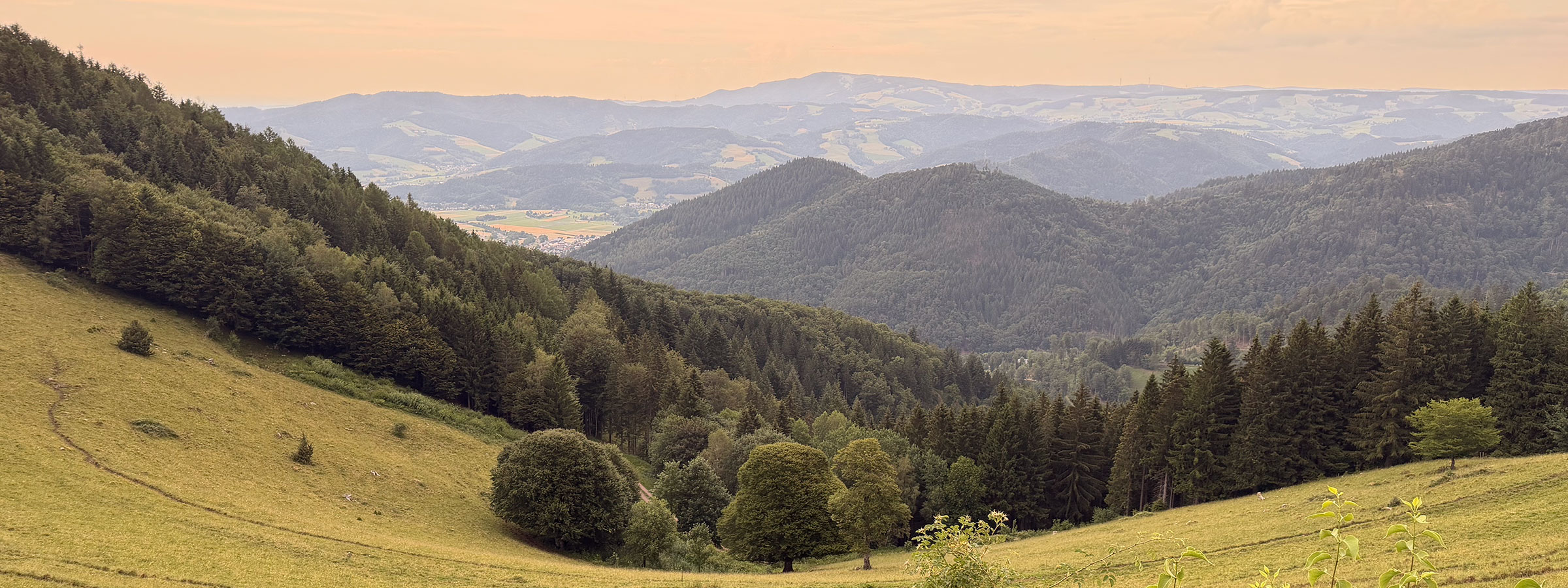 Blick ins Dreisamtal
