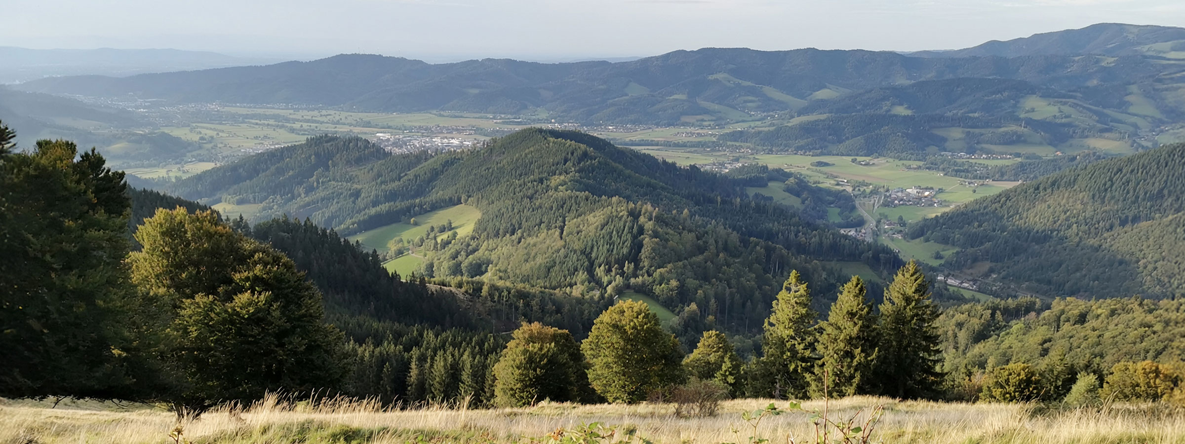 Dreisamtal