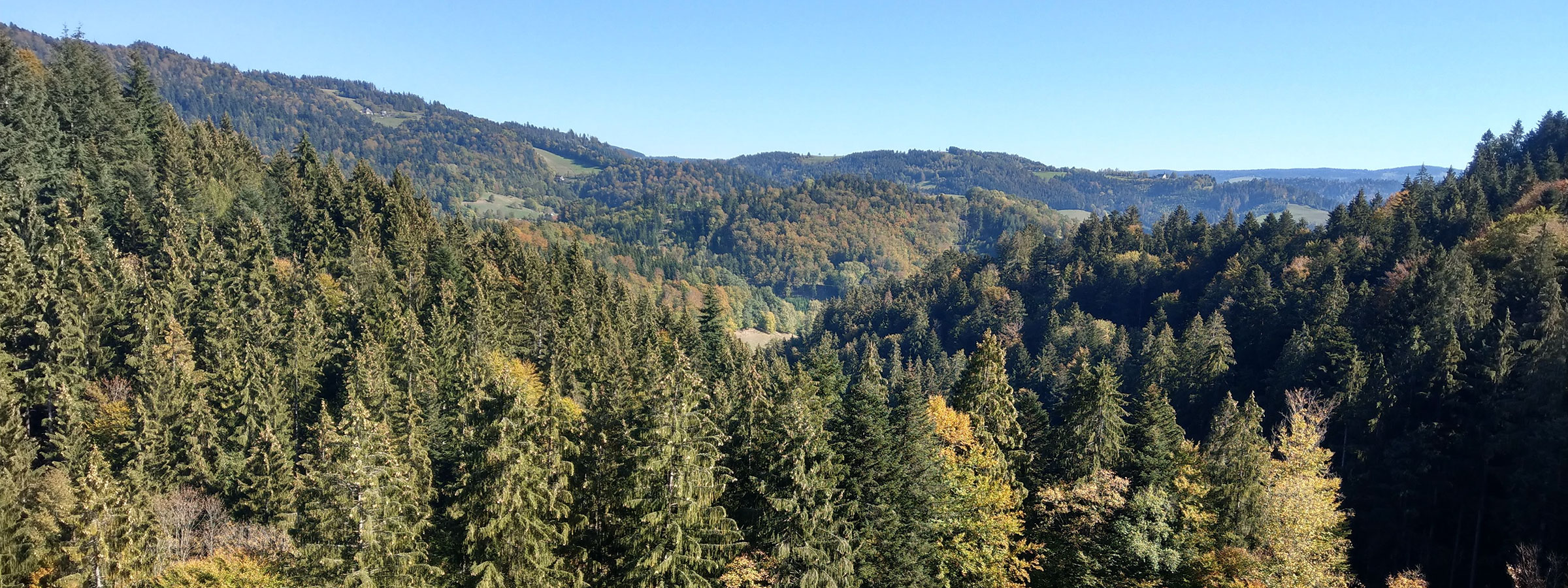 Blick von Eschbach aus